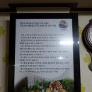 소쿠리광고 이미지