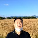 황용 이미지