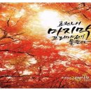 보행자전용도로 2-521 네이버블로그