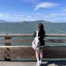 미스치프 버클 플랩 백팩 라이트베이지 리뷰, 무신사 솔드아웃 구매 후기