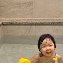 브라운도트 창원북면점 이미지