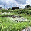 경안천 초부리 이미지