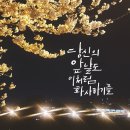 형제지업사 | 오래간만의 인사동 나들이 (형제지업사방문했어요)
