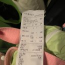 고양시 북한산 신상 애견 동반카페 운동장 위드인