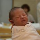 진우수지 이미지