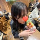 플러스그린렌트카 | 훗카이도 3박 4일 여행(1)| 삿포로 오타루 맛집 숙소 (24년 11월의 기록)
