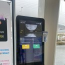 녹테마레 미디어아트 여수 가족여행 추천 코스