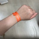 새진약국 | 팔 무한람스+뒷볼록 내돈내산] 1~3일차 28바틀 추출 자세한 후기 (시술, 멍, 붓기, 통증 정보)+멍크림 추천