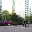 도봉-도봉-서울도봉-2201 이미지