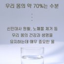 포프로짐 이미지
