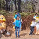 한국체대백궁태권도