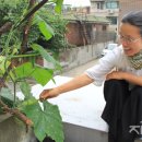 우리만물센터 이미지