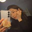 799 | 피카소브러쉬 아이 디테일 마스터 세트 후기, 207A와 799로 아이메이크업 완성