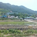 연아식당 이미지