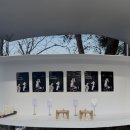 마이디어 | w.15 브라이튼 하우스 강남 아이폰 스냅 후기 – 마이디어 추천해요 ✨