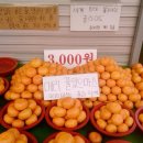 연제구-144 | 25년의 마지막 일상