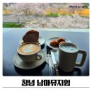 남마뮤지엄 | 창녕 벚꽃 카페 남마뮤지엄 가볼만한곳 추천