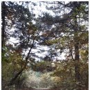 서태운 | 영웅호걸도 시간앞에서는 이름만 남기고 스러져가는 것, 조선조말 무소불위의 권력을 잡았던 대원위...