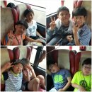 용인대 수 합기도장 이미지