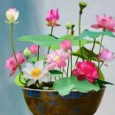 연꽃당구장 이미지