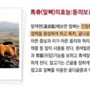 자연애건강식품 이미지