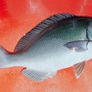 달큼이네민박 이미지