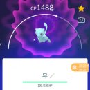 환상의성 | 포고 환상의 포켓몬 이모저모