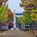 은행나무공원 이미지