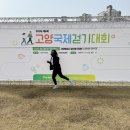 하이퍼들 | 100프로 고글 매장 일산 플렉스핏 내돈내산 후기