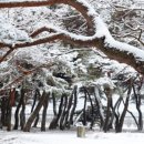 삼성숲공원 이미지