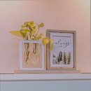 리치 하우스 이미지