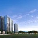 SC골프클럽 이미지