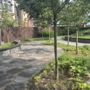 자양방문노인복지센터 이미지