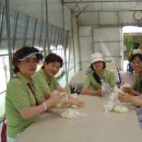 김포초등학교 이미지