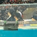 시야김밥시야떡볶이 | 1, 2번 직관후기 - 4층시야, 인피니티풀 시야, 야구장먹거리(농심가락 떡볶이, 선비꼬마김밥, 떡라면 등)
