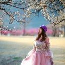 매화공원 네이버블로그