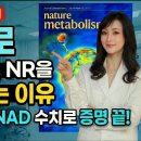 [2부] 가성비 B3의 오해와 진실｜네이처 논문 팩트체크, NAD 흡수 승자는? 이미지