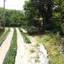 흙공인중개사사무소 이미지