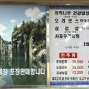 아트벨리자작나무 이미지