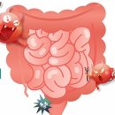 (유)군산CJ종합유통 | 마이크로바이옴 장내균총 분석부터 유산균 복용 전략까지