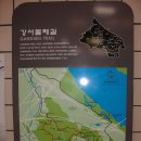 치현사 Daum카페