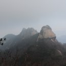 상장친구들 이미지