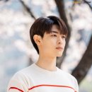 우연히봄 이미지