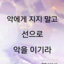 이초석: 교회신문 ＞ 제 826호 야생마와 명마는 무엇이 다른가? (민14:26~30) 이미지