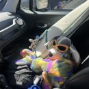 김포한강2로24번길-L | 김포 프리미엄 세차 &#39;아티스트 디테일&#39; 내부세차 후기