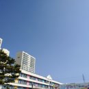 서울창도초등학교 이미지