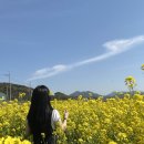 장터돼지국밥 티스토리