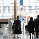 시민항공여행 이데일리
