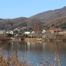 외포리버스터미널 이미지