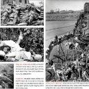 한국전장 이미지